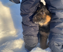 ������� �� ������ � �������