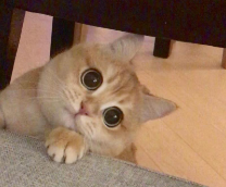 ������ ������!