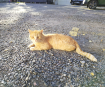 ��, �������!?