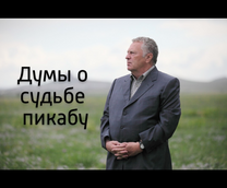 ������ � 