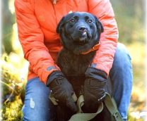 ������ � ������� ����. �����-��������� - 2025