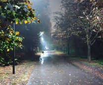 ������ LEONARDO