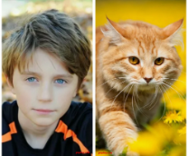 ����� ��� �����