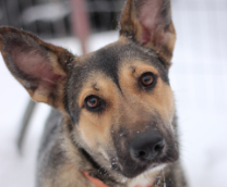 ������ ���� ������ ��������!