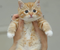 ������ ���� ���!