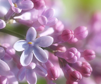 ���� � �������