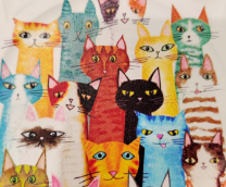 ���� ������