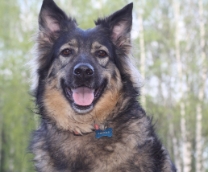 ������������ ��������