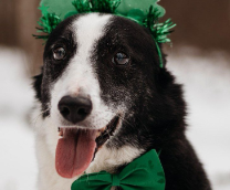 ������� ���������� ������� � ���