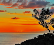 ��� ������