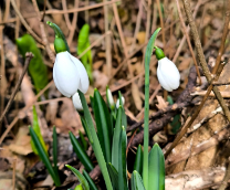 ���������� ������