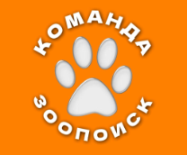 ���� ������