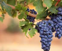 �������� �� ������ �� ������ 