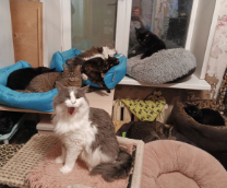 ����� ����������_������������