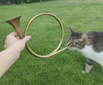 ������� �� ����� 