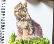 ������� �������. �������. ��������.