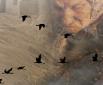 ��������� ����