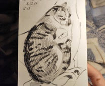 �������� ��������. ������������.