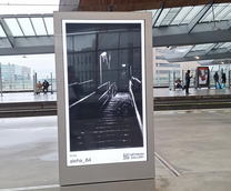 ��������/������/�����������