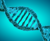 ���-����