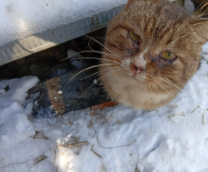 �� ����� ���� ������