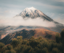 ��������. ����� �������.