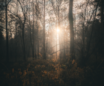 ��������� ���