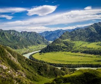 ��� ����������