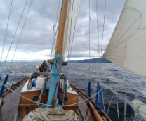 �� ���� - �� �����!