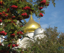 ����� ���� �������� � ���� ���