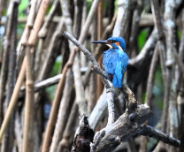 �����, ���-����� 2025