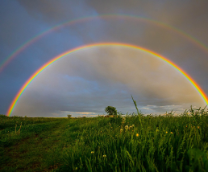 ��� ����. ������.