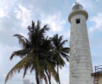 ��� �����, �������-���� 2025