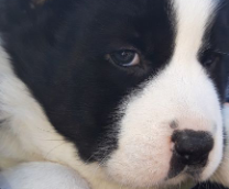 �� �����. � � �����