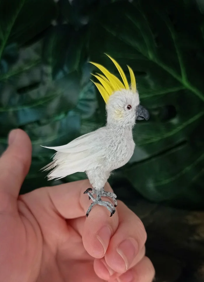 Cockatoo)) - My, Cockatoo, A parrot, With your own hands, Miniature, Author's toy, Birds, Longpost