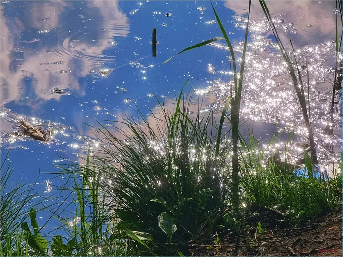 And reflections in the water... - My, The photo, Nature, Landscape, Water, Reflection