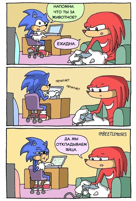 It's quite natural - My, Translated by myself, Comics, Humor, Sonic the hedgehog, Knuckles, Echidna, Animals, Beetlemoses