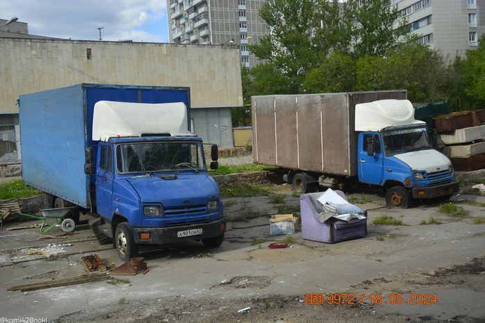 Два Бычка, которые заброшены на территории этой высотки