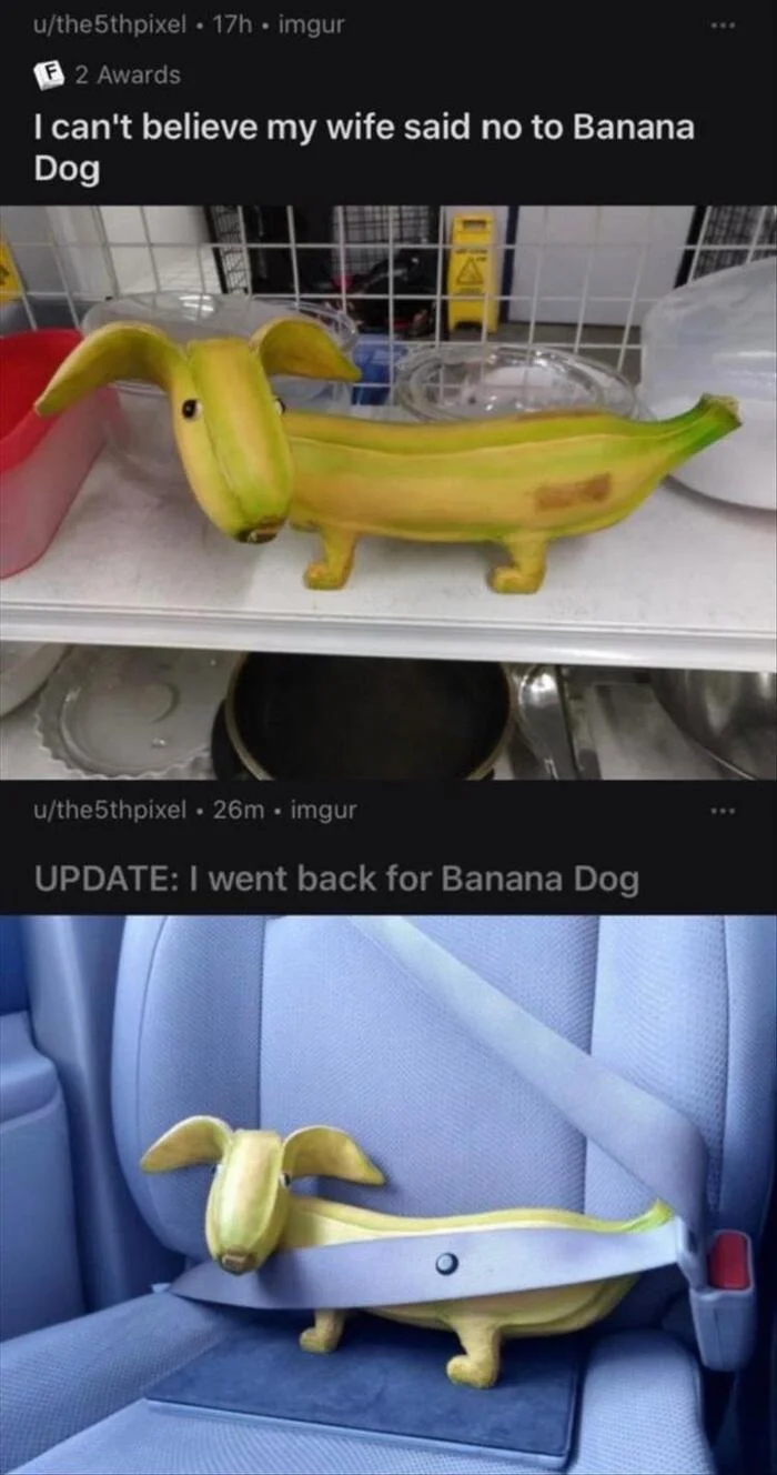 Well, it's lovely... - Dog, Banana