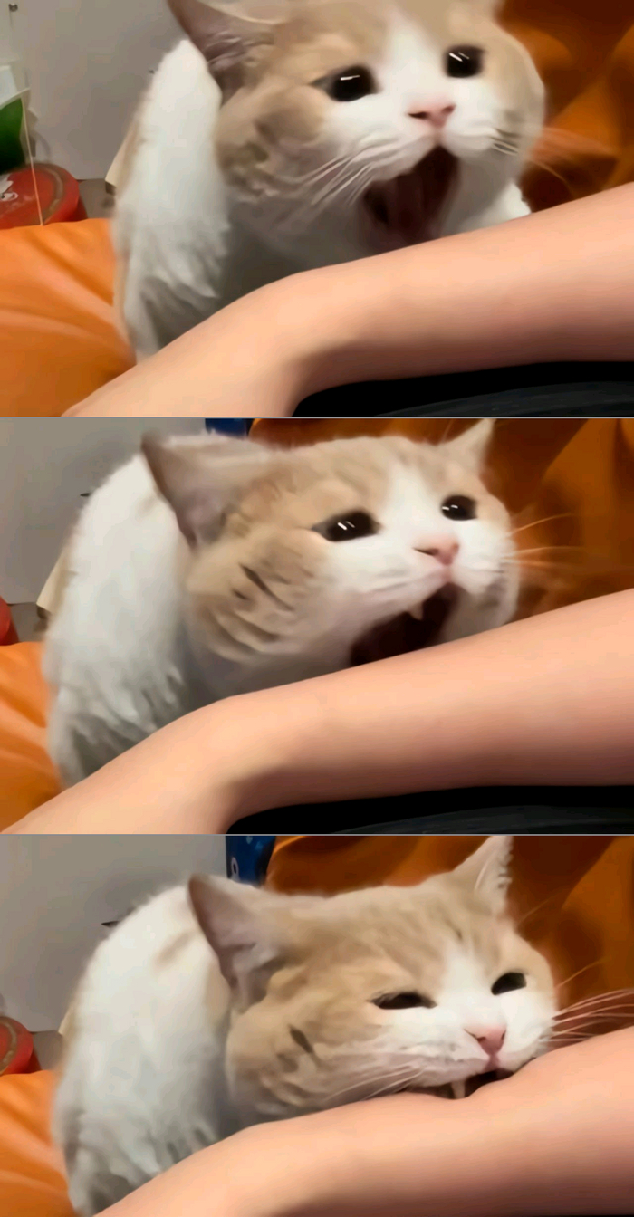 ��� �������� ��� �� ������ ������ ��������