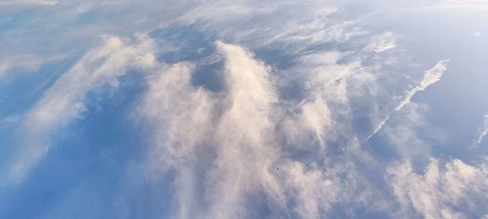 Eagle - My, Eagle, The photo, Sky, Clouds, Astrakhan