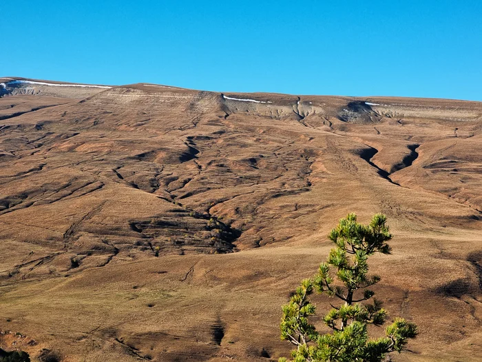 Lagonaki - My, Lago-Naki plateau, The mountains, Nature, First post, The photo