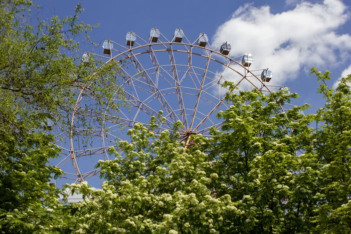 Ferris wheel in Novosibirsk on Mikhailovskaya embankment - My, The photo, Novosibirsk, Ferris wheel