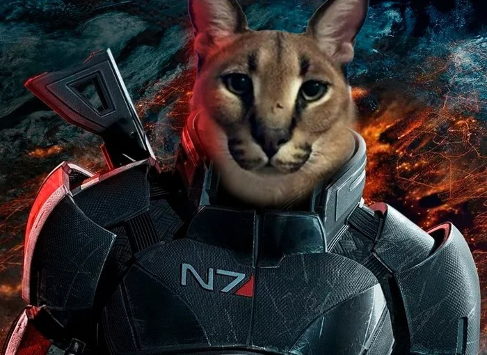 The Mass Effect trilogy is perhaps one of BioWare's best creations, if not the best... - My, Games, Mass effect, Mass Effect: Andromeda, Catgeeks, Gamers, Computer games, Shepard, Opinion, RPG, Longpost