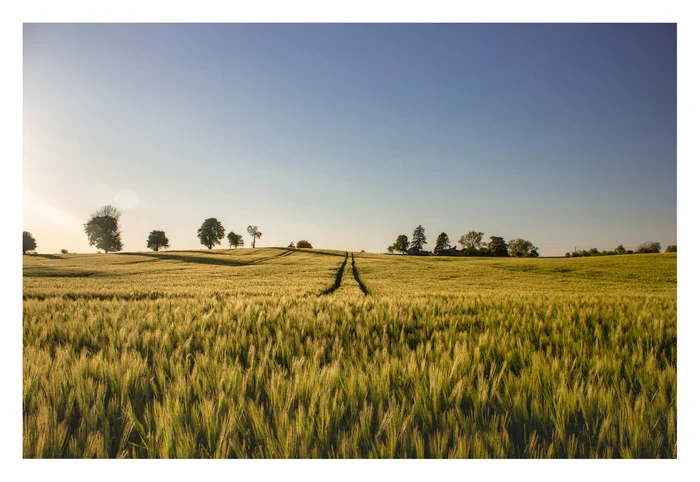 Noname photo #25 - My, Landscape, Canon, The photo, Field, I want criticism