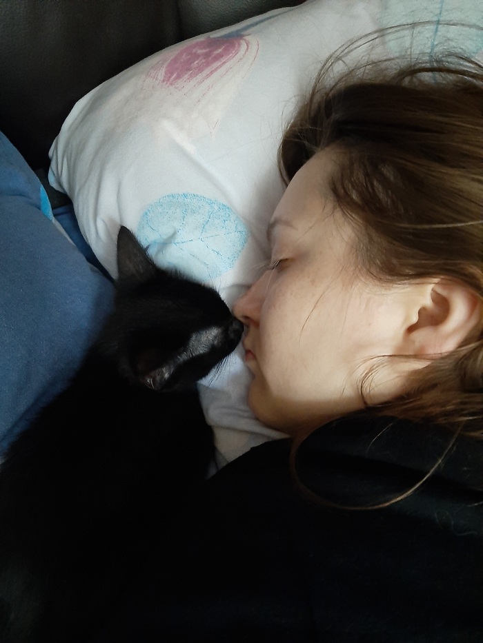 Кот оче нь л юбвиобилен