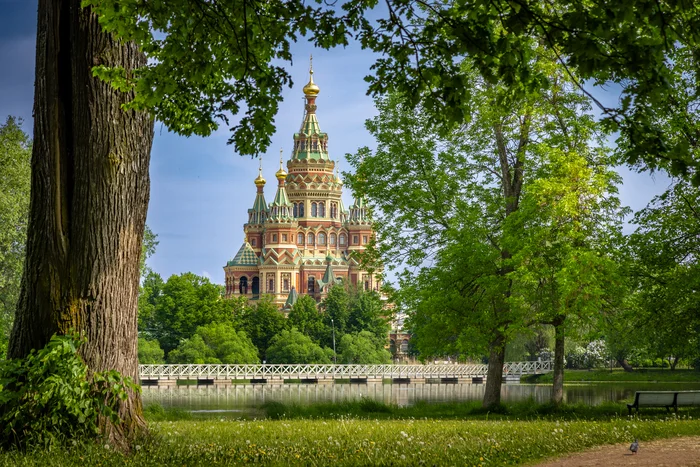 I'm taking pictures - My, The photo, Nature, Landscape, Architecture, The park, Peterhof, Saint Petersburg