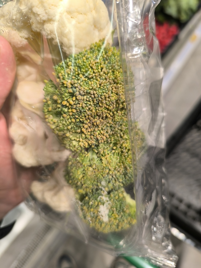 � ��� ������ �����. �������... � ��� �����