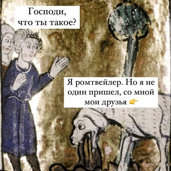 Who asks let the dogs out - Suffering middle ages, Who Let The Dogs Out, Humor, Middle Ages, Dog, Longpost, Picture with text, Alcoyumor