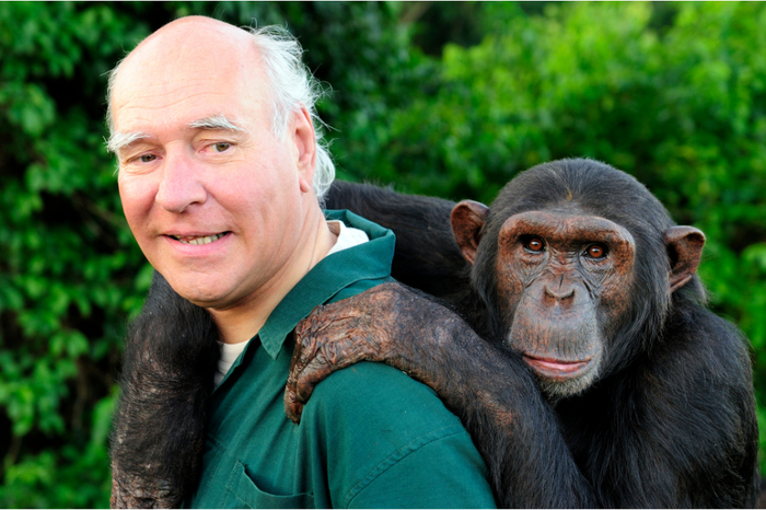 � �������� ������ �����, ��� � �����